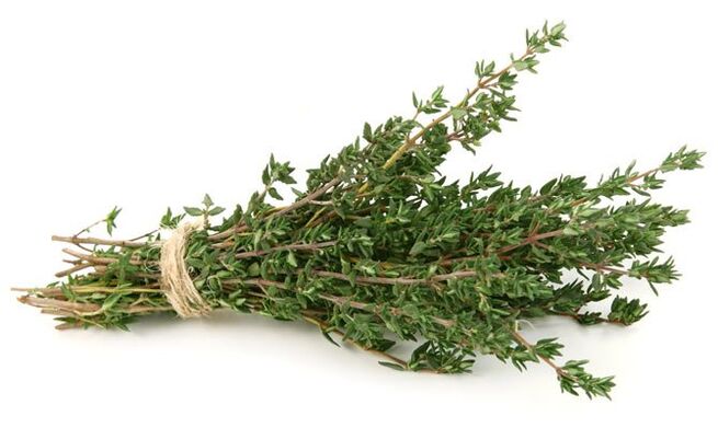 tomillo para agrandar el pene