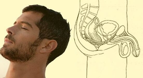 Ejercicio de estiramiento del pene.